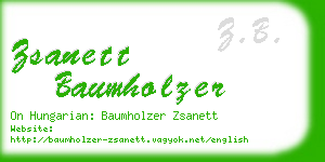 zsanett baumholzer business card